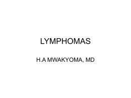 Non-Hodgkin`s Lymphoma