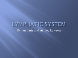 Lymphatic system- Lawson Parisx