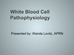 White Blood Cell Pathophysiology