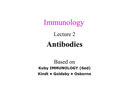 Antibody Classes And Biological Activities