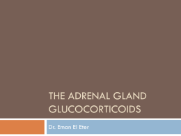Lecture 11- Adrenal gland+