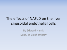 The effect of NAFLD on the sinusoidal endothelial cells