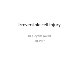 Irreversible cell injury