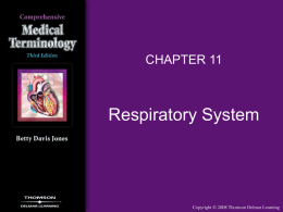 Respiratory System CHAPTER 11