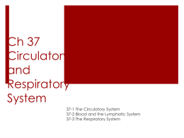 Ch 37 Circulatory and Respiratory System
