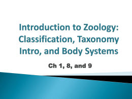 Introduction to Zoology: Classification, Phylogeny