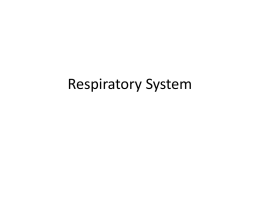 Respiratory System - Hatboro