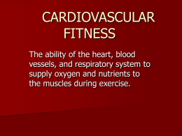 cardiovascular fitness