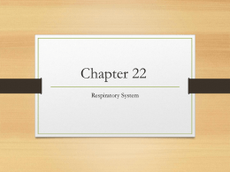 Chapter 22 use