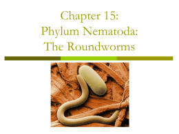 Chapter 15: Phylum Nematoda: The Roundworms