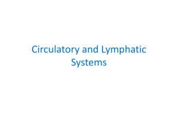 Circulatory and Lymphatic Systems