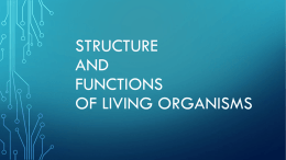 Structure and functions of living organisms