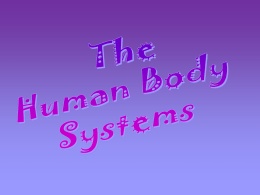 7th Human Body Systems Project Ppt Human Body Systems