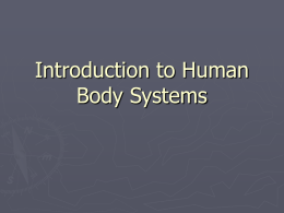 Introduction to Human Body Systems