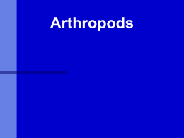 Arthropods - Biology Junction