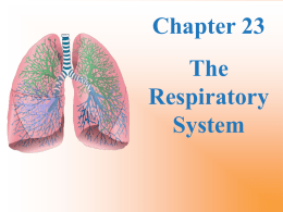 Ch 23 _Student Respiratory Lab
