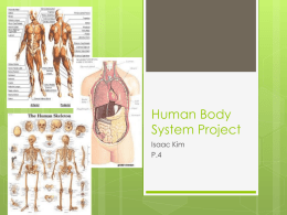 Human Body System Project - local