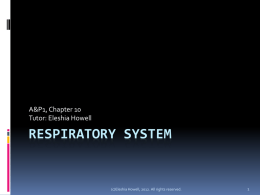 AAP_PowerPoint_Respiratory_System