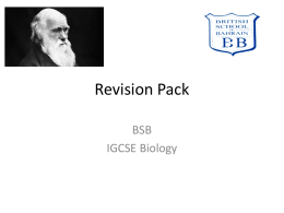 Section B revision booklet