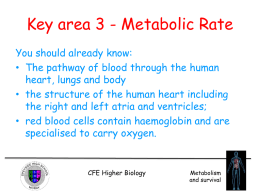 Unit 2 Key Area 3 - Metabolic Rate