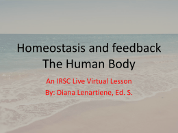 Homeostasis and feedback The Human Body