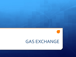 chapter 11 - gas exchange