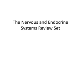 The Nervous and Endocrine Systems Review Set