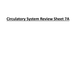 Circulatory System Review Sheet 7A