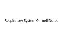 Respiratory System Cornell Notes