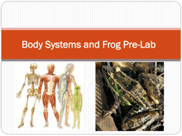Animal Systems and Frog Pre-Lab