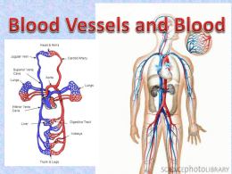 Blood Vessels and Blood