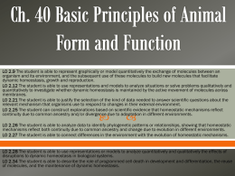 Ch. 40 Basic Principles of Animal Form and Function note