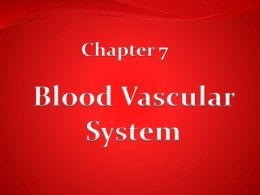 Chapter 7 Blood
