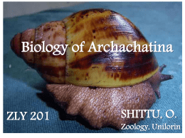 Lecture Slides on Archachatina marginata ZLY 201
