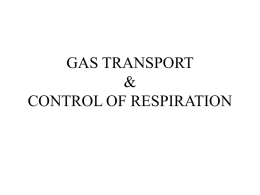 GAS TRANSPORT & CONTROL OF RESPIRATION