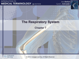 Respiratory (from Intro)