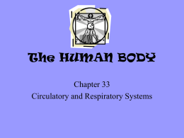 Chapter 33 - Circulatory and Respiratory Systems