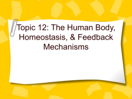 Topic 12 Homeostasis_Human Body Systems