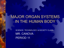 MAJOR ORGAN SYSTEMS IN THE HUMAN BODY