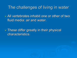 Topic 3 The challenges of living in water