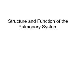 Structure and Function of the Pulmonary System