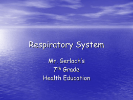 Unit 3: The Respiratory System