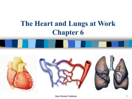 Heart and Lungs at Work