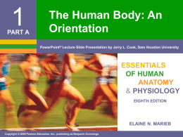 Chapter 1 The Human Body