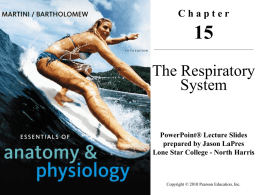 PPT respiratory system - Westinghouse College Prep