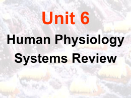 PowerPoint: Physiology Overview