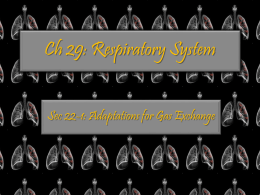 Ch 28: Circulatory System