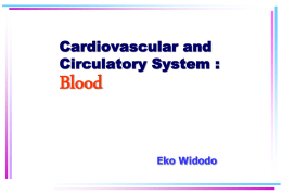 Animal Circulatory System