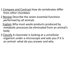 Ch 25 Introduction to Animals