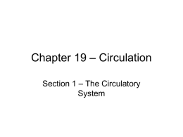 Chapter 19 – Circulation